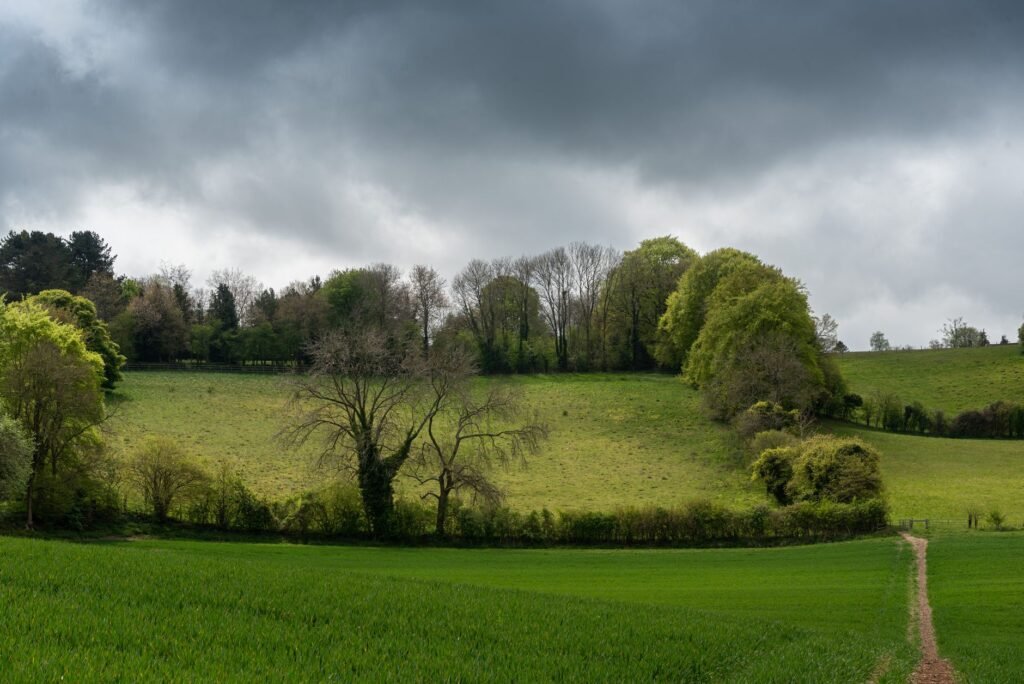 Tranquil rural scene with lush green fields and overcast skies in the United Kingdom.