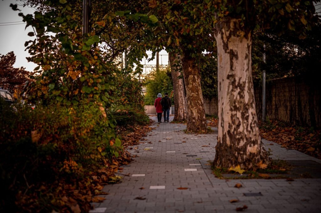 Serene autumn scene with two people walking on a tree-lined path.