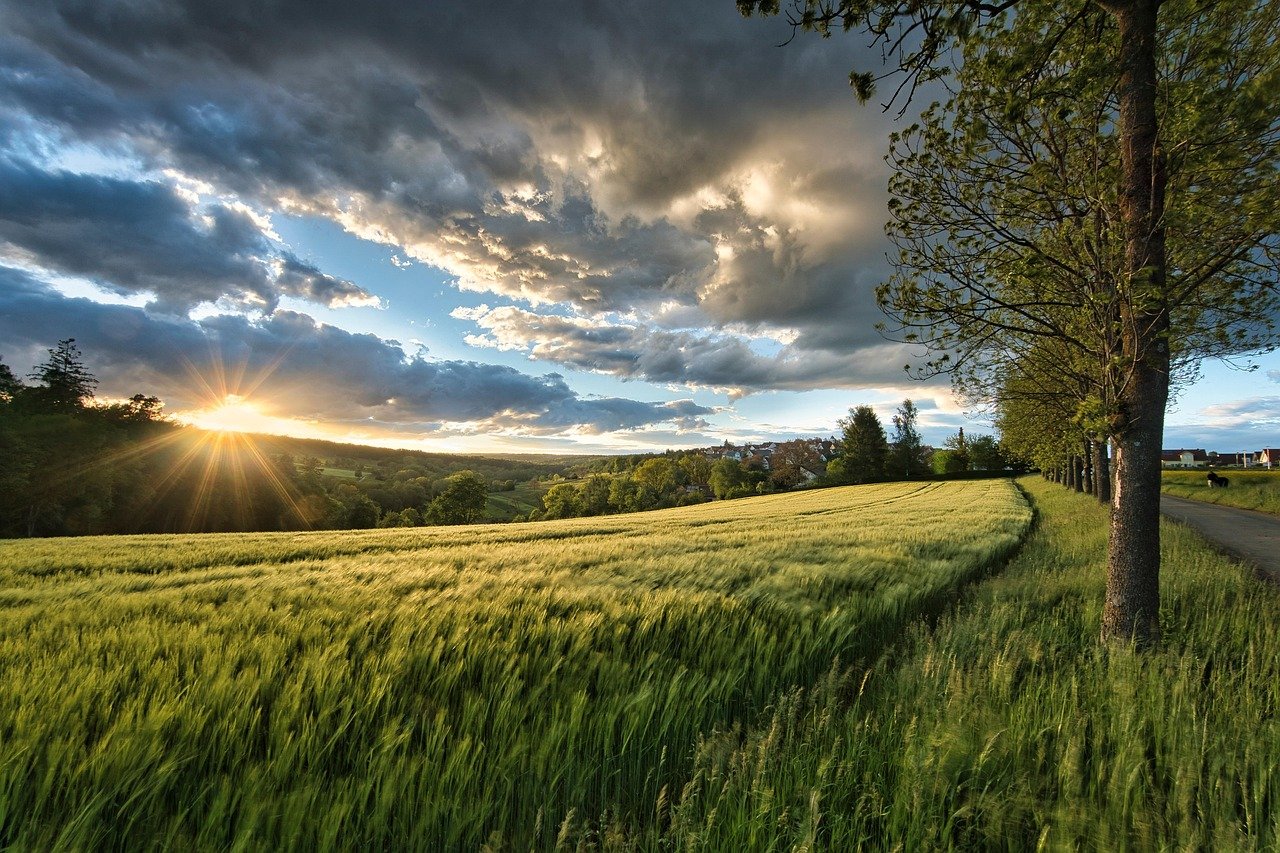 sunset, meadow, grass, sunlight, cereals, field, landscape, mountain, nature, sky, clouds, evening, mood, panorama, scenery,