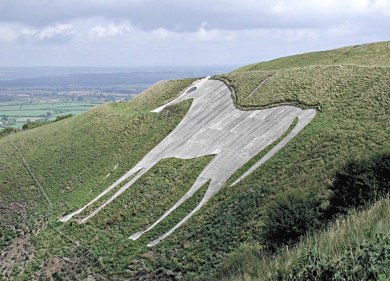 horse, landscape, nature, england, white horse hill, oxfordshire, England, United Kingdom, Oxford