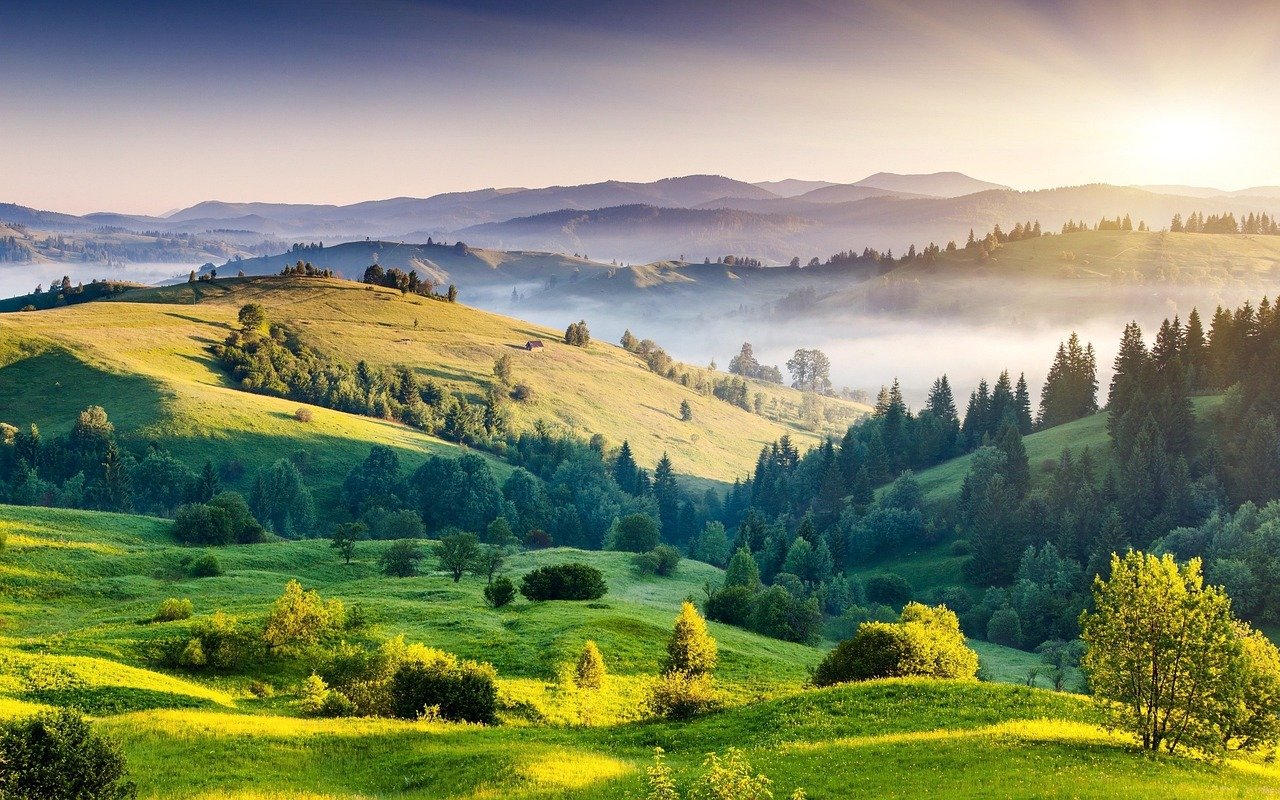 hills, india, nature, kodaikanal, cool backgrounds, wallpaper hd, desktop backgrounds, beautiful wallpaper, trees, landscape,