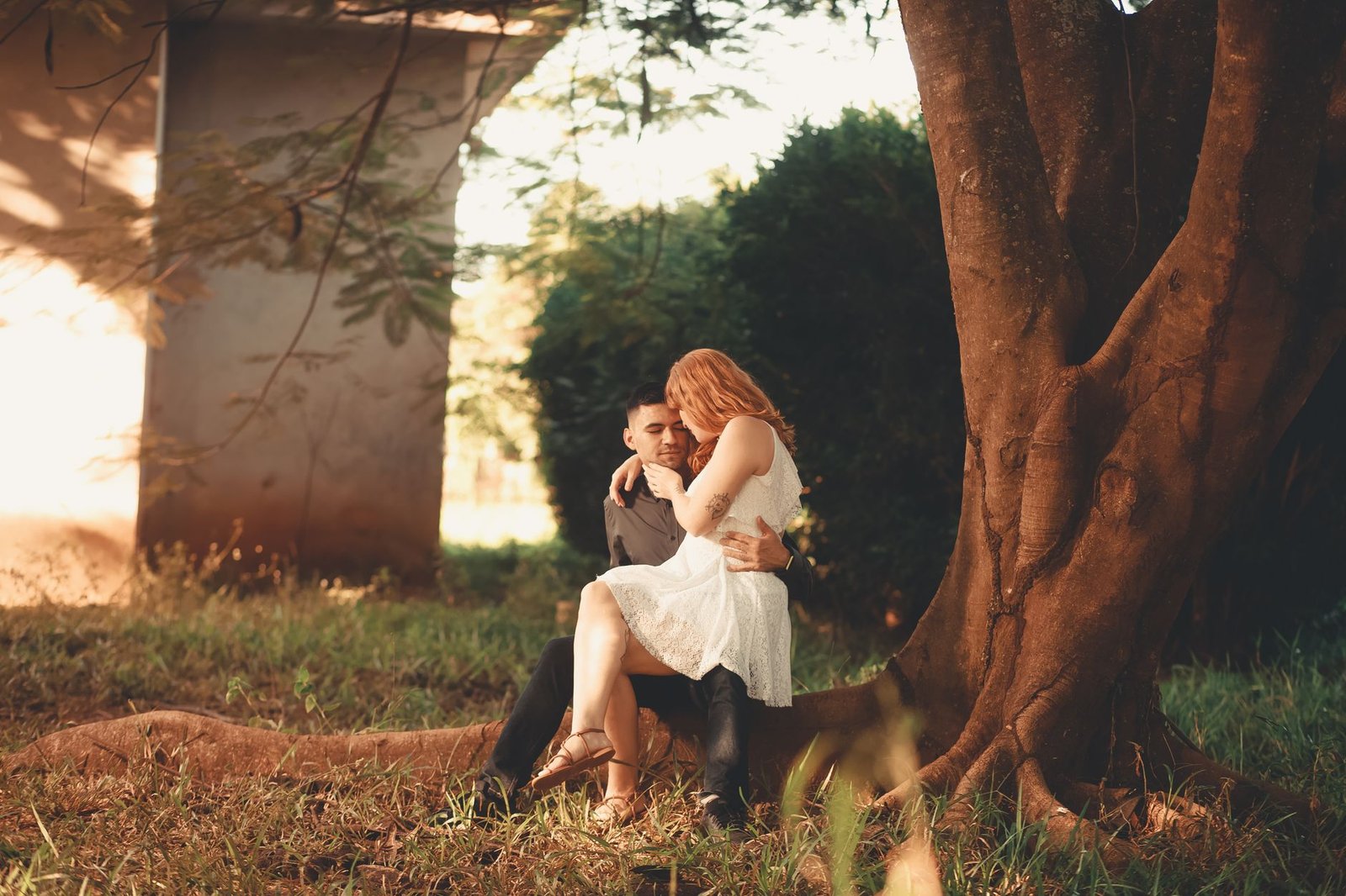 A couple sitting under a tree in a park, sharing a romantic and intimate moment.
