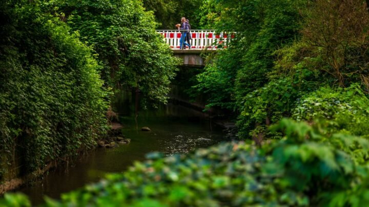 Simple Ways to Keep Romantic Enjoyable in Coleraine and Across the Region