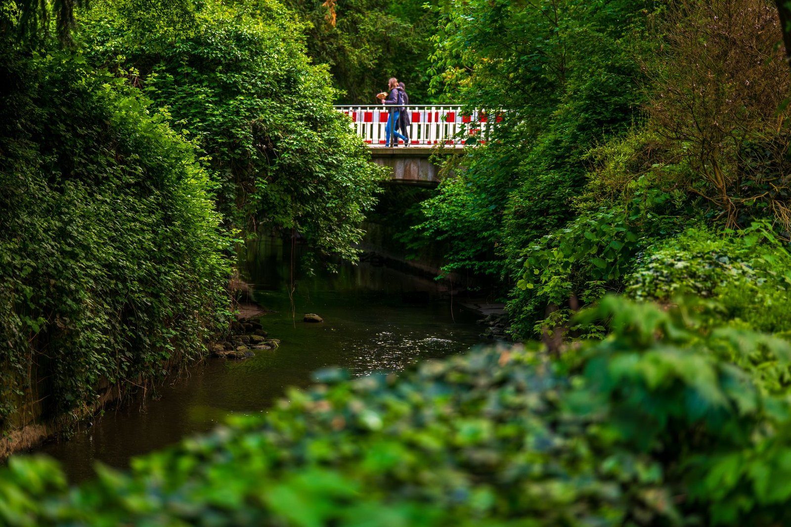 A serene scene of a couple walking on a bridge surrounded by lush green foliage, over a gentle stream.