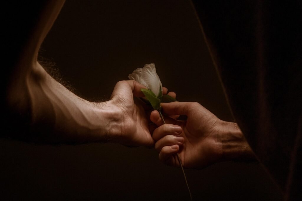hands, love, rose, together, rose flower, couple, flower wallpaper, lovers, nature, romantic, romance, affection, flower, tou