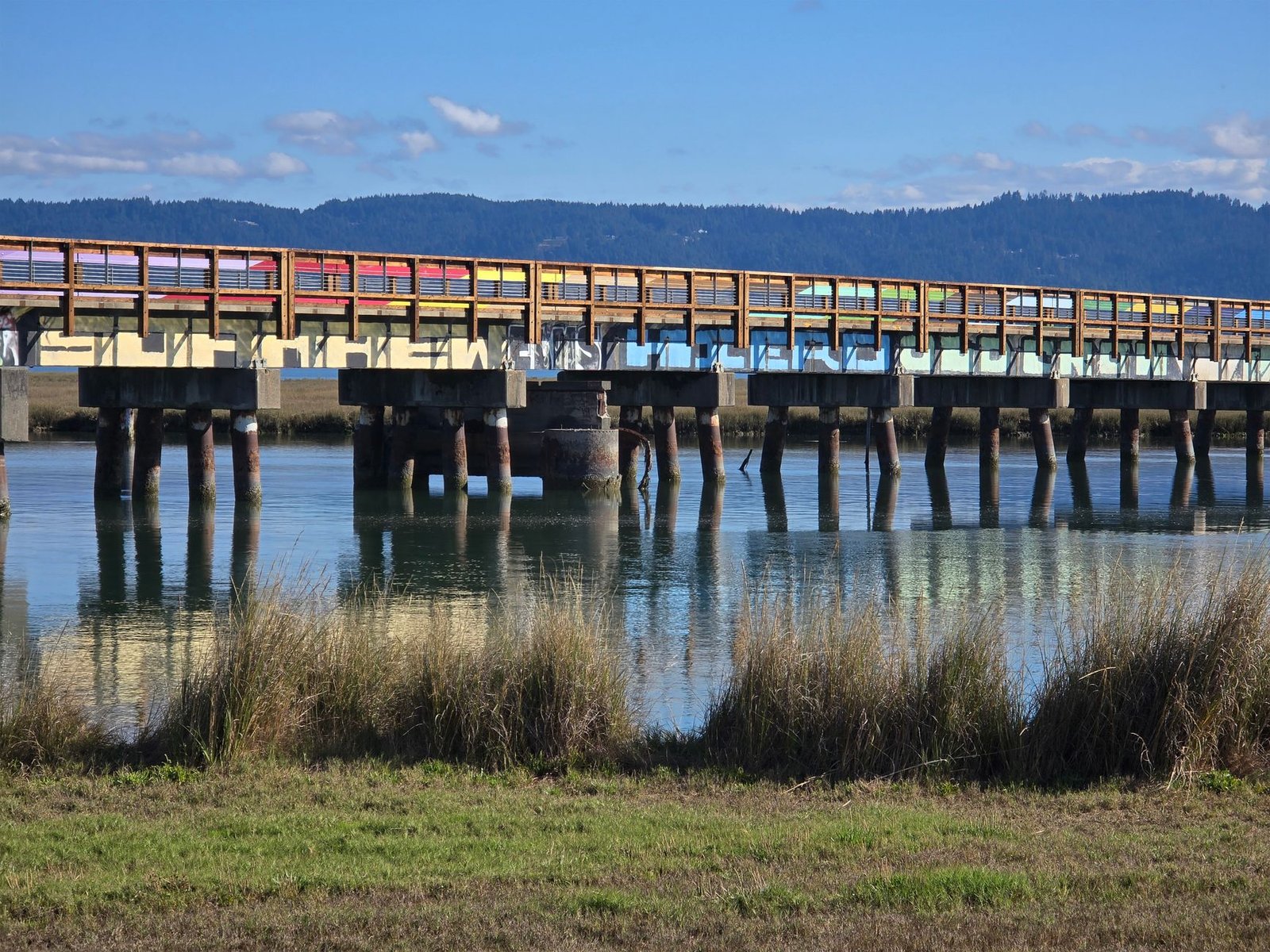 Vibrantly decorated bridge with graffiti spans a tranquil slough reflecting clear skies, perfect for nature and urban themes.