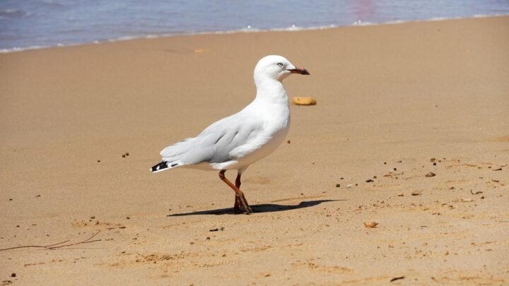 Small Ways to Make Dating Feel More Special in Torquay