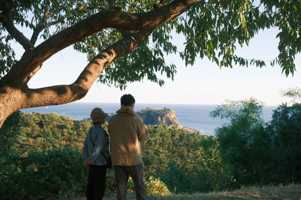 A couple stands under a tree, admiring a scenic ocean view, with lush greenery surrounding them.