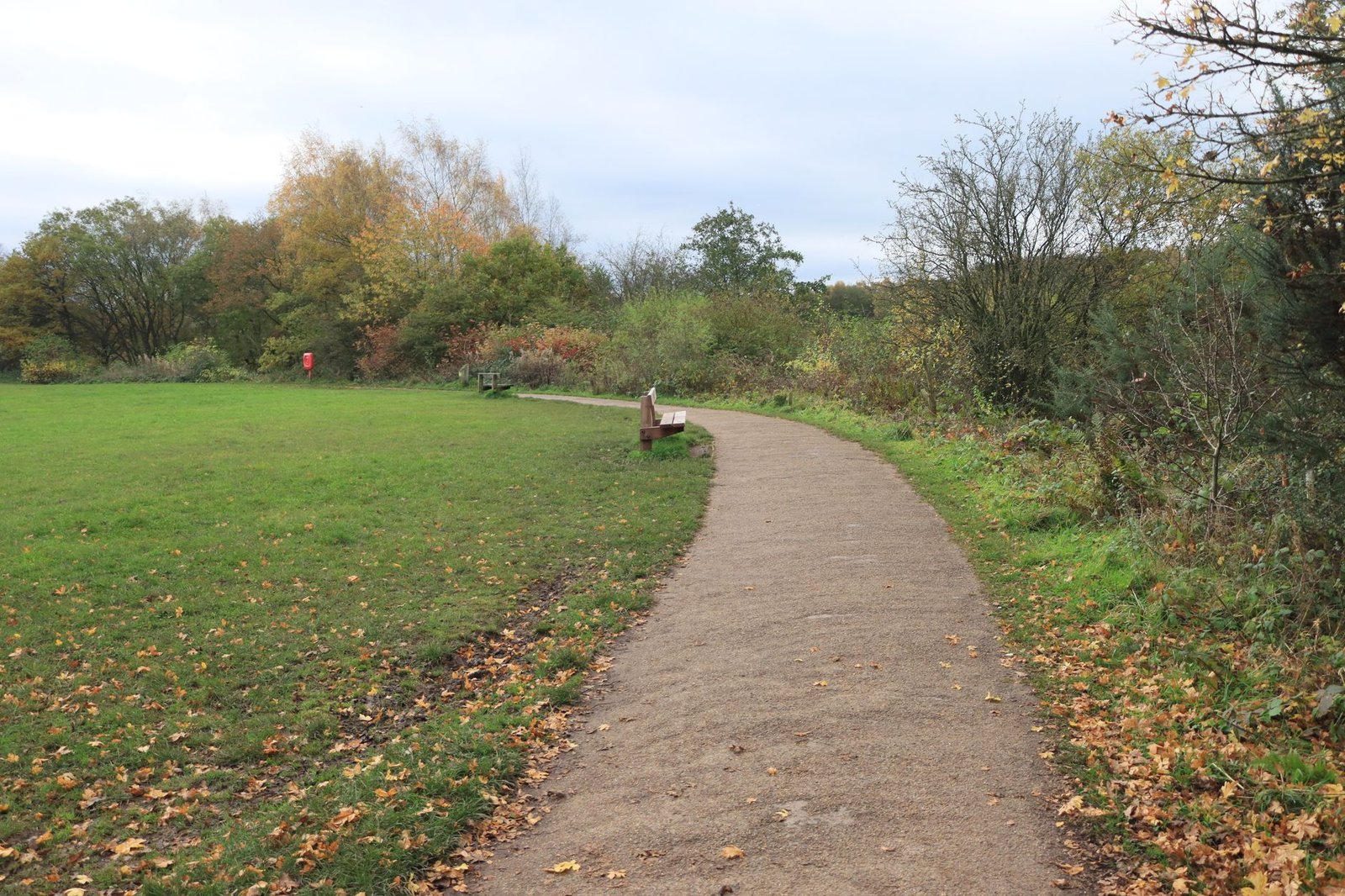 A tranquil autumn pathway surrounded by vibrant foliage in an English park setting.