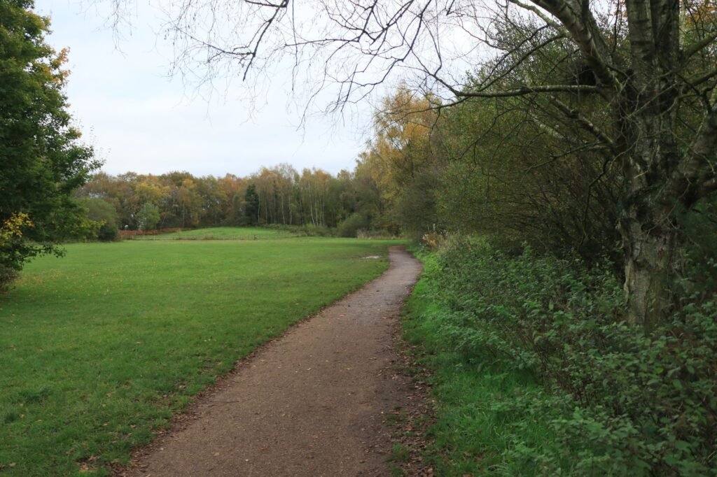A tranquil autumn path winding through a lush English park with vibrant foliage.