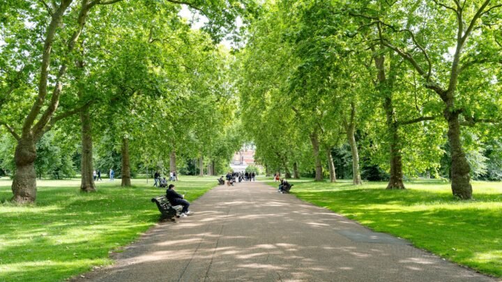 Sunday Plans That Make Dating Feel Easy in Ipswich