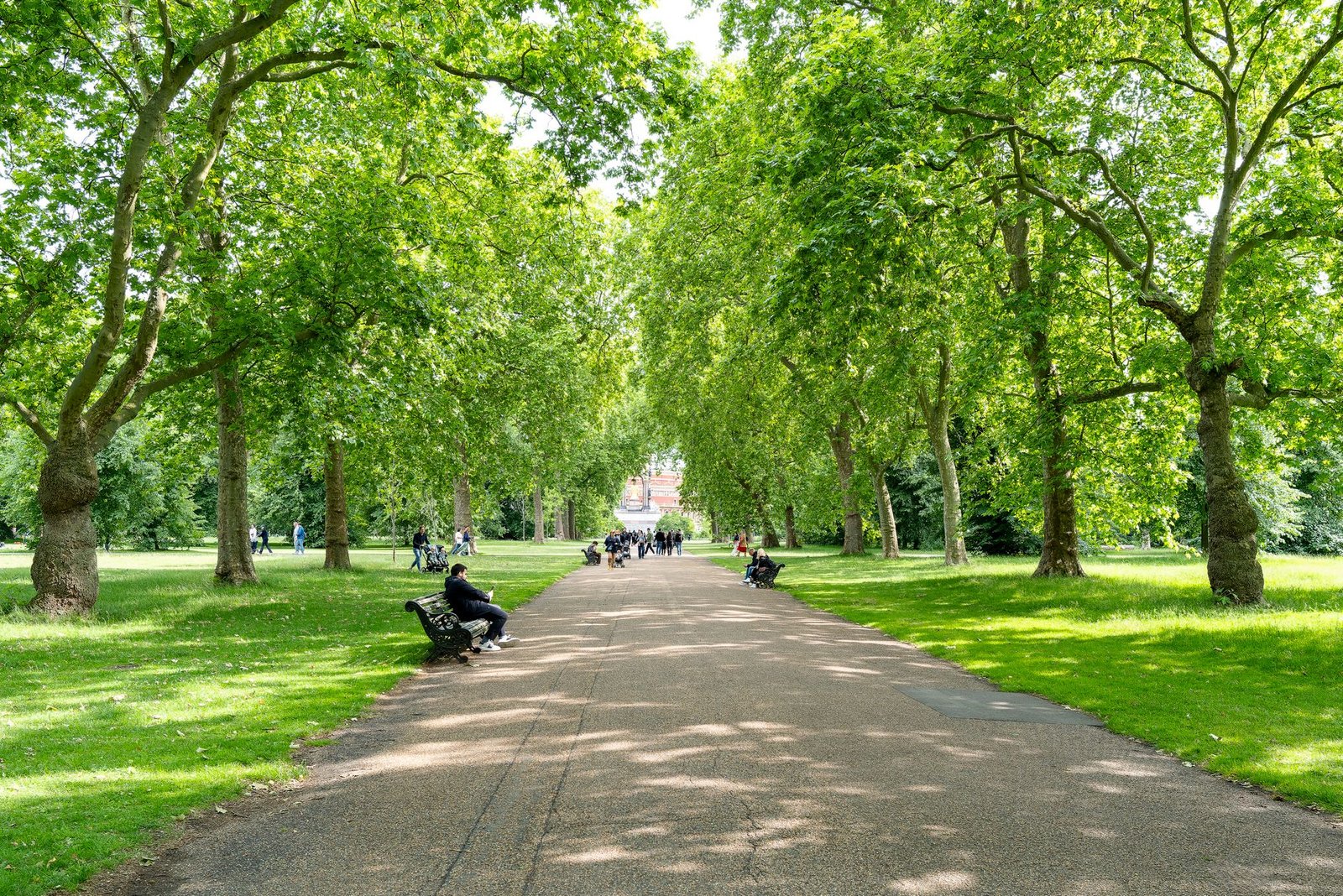 A peaceful summer day in a London park with benches and lush green trees lining a pathway.