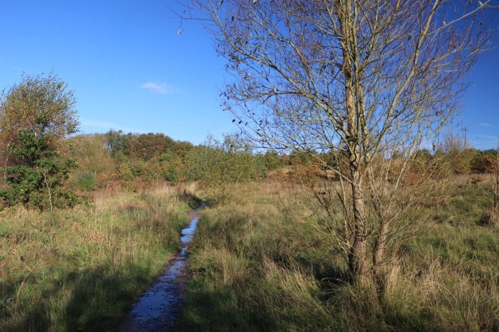 Peaceful autumn landscape with a path through grassy fields in England.