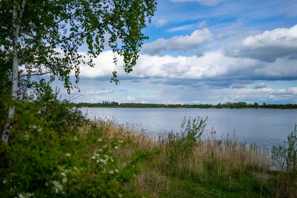 Tranquil summer landscape of a lake surrounded by lush greenery and clouds in Schkeuditz, Germany.