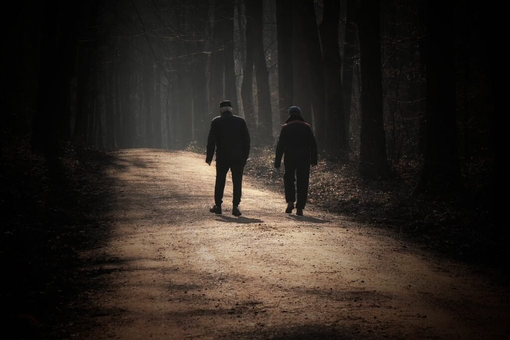 walk, nature, forest, morning sun, the shade, seniors, landscape