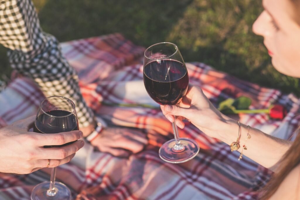 picnic, wine, cheers, toas, celebrate, celebration, red wine, wine glasses, glassware, stemware, alcohol, blanket, couple, dr