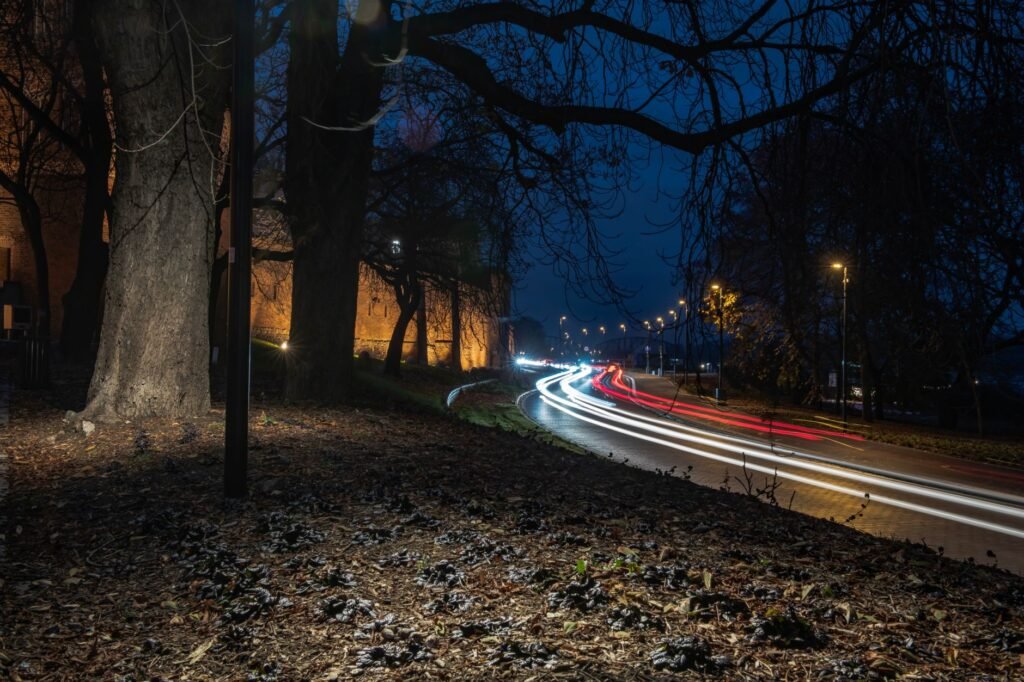 Dynamic light trails from passing cars in a park setting at night.