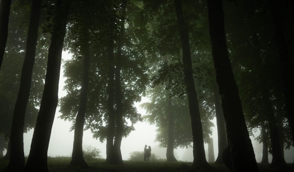 A couple stands in a misty forest, creating a serene and romantic atmosphere.