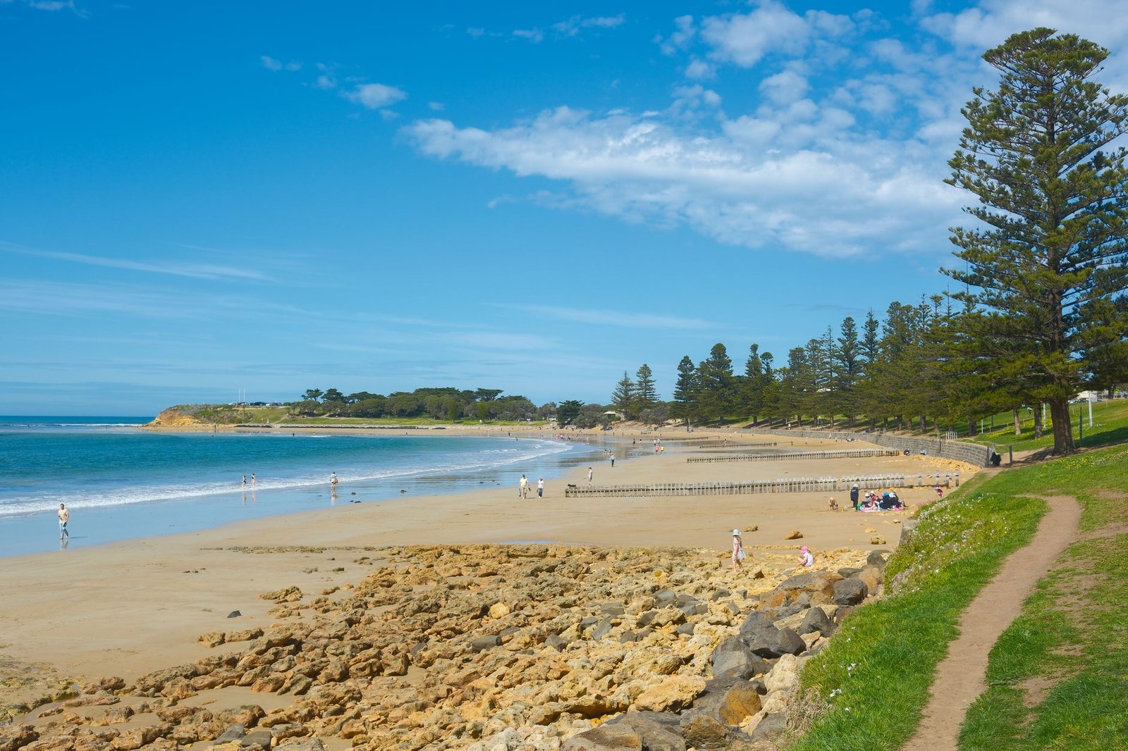 Explore the tranquil beauty of Torquay Beach, Victoria with its golden sands and lush trees under a clear blue sky.
