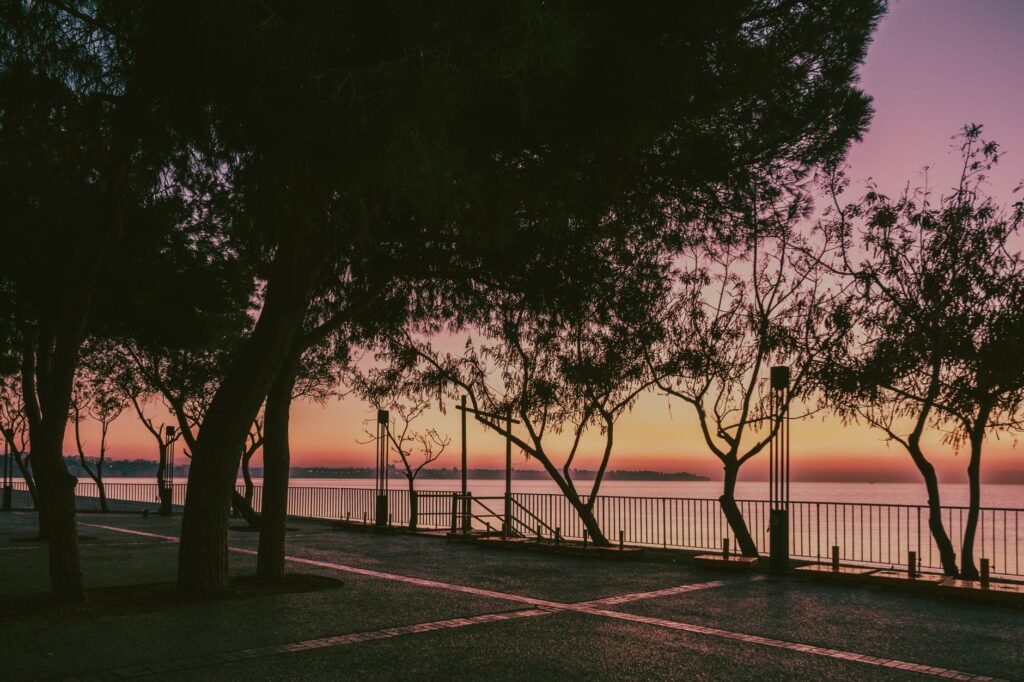 Peaceful view of trees lining a waterfront promenade during a vivid sunset over the shore.