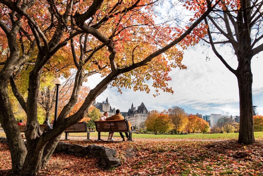 fall, park, bench, couple, trees, nature, outdoor, ottawa, canada, season, colorful, october