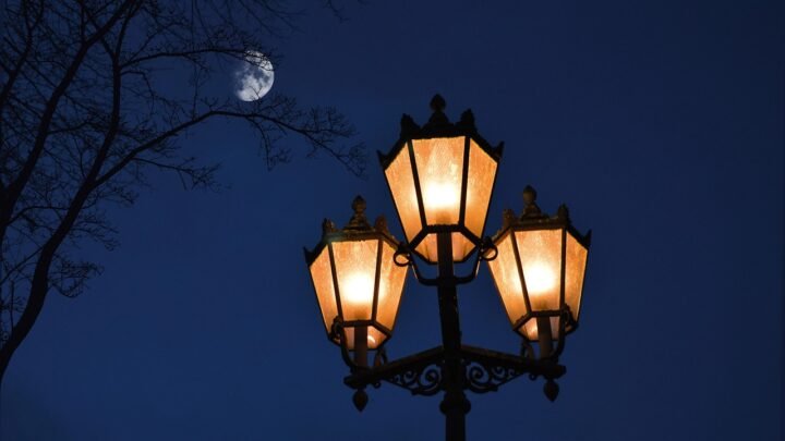 Nightlife and Escort Dynamics in Wakefield: How Evening Culture Shapes Local Connections