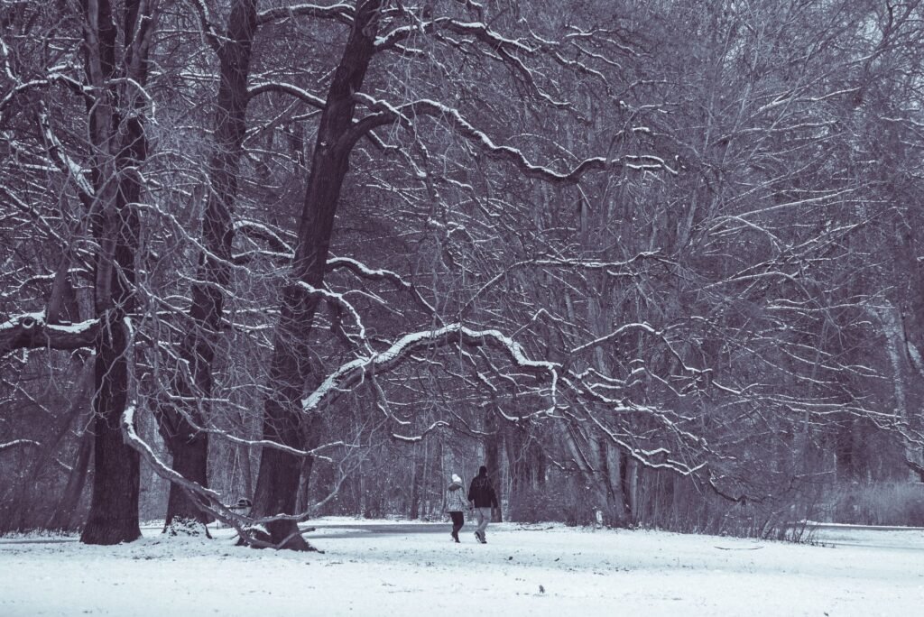 A couple walking together through a serene winter forest covered in snow.